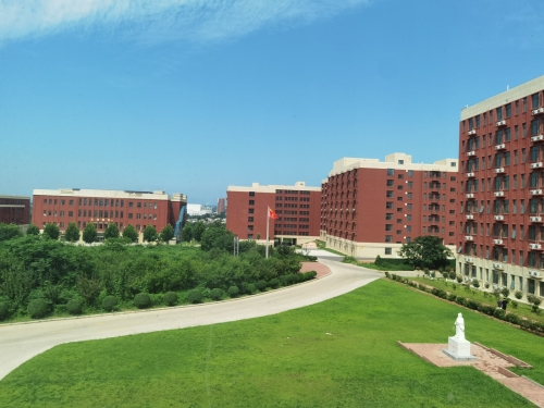 郑州黄河护理职业学院2025年《文化素质测试》考试大纲及样题