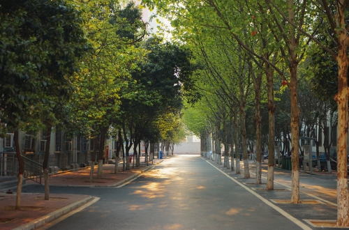 郑州黄河护理职业学院2025年《职业适应性测试》考试大纲及样题